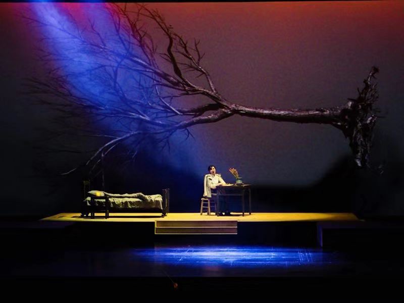 中国现代民族歌剧《林徽因》拉开新加坡欢乐春节帷幕
